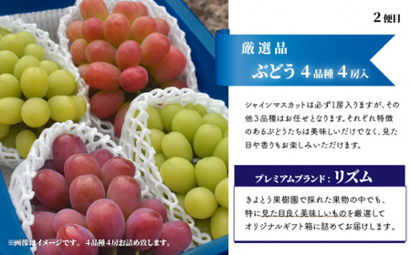 桃、ぶどう、梨の最上級品を旬にお届けする3回便！ (定期便)(岡山県産) 【KF-T033-01】