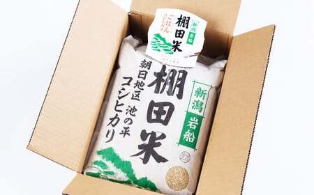 【定期便：5ヶ月連続でお届け】【令和7年産米】新潟県村上市岩船産 棚田米コシヒカリ 玄米10kg ＋ 棚田米コシヒカリのパックごはん(150g×1個)×5ヶ月 1067126