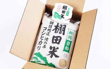 【定期便：6ヶ月連続でお届け】【令和7年産米】新潟県村上市岩船産 棚田米コシヒカリ 玄米10kg ＋ 棚田米コシヒカリのパックごはん(150g×1個)×6ヶ月 1067127