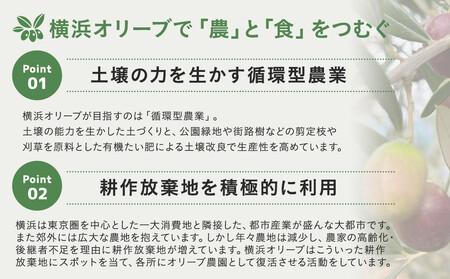 横浜オリーブ　No.3グリーントスカーナ　エクストラバージンオリーブオイル120ml ALD0003