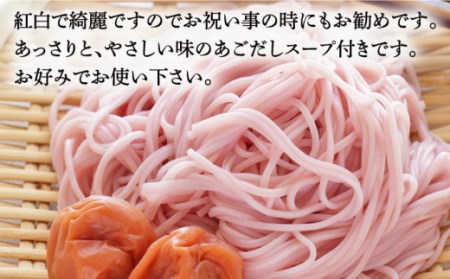 手延べ梅そうめん 200g あごだし スープ 付 / そうめん 素麺 麺 乾麺 梅 / 南島原市 / のうち製麺 [SAF013]
