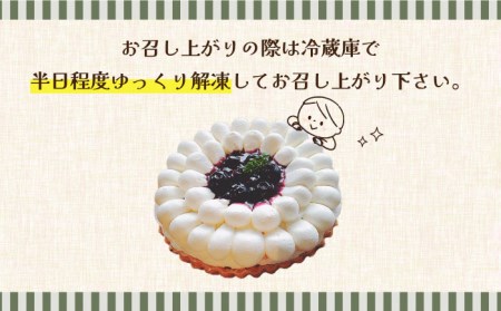 【舌にあふれる季節感♪こだわりのサクサクタルト】ブルーベリーとムースフロマージュのタルト / タルト たると ケーキ タルトケーキ スイーツ デザート / 南島原市 / アトリエジジ [SAA005]