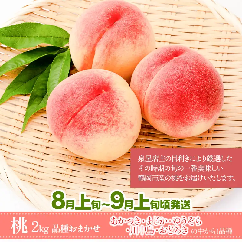 【令和8年産先行予約】【3回お届け】鶴岡産果物定期便　庄内砂丘メロン（赤肉・青肉各1玉）＆ 桃 約2kg ＆ ラ・フランス 約3kg　泉屋商店