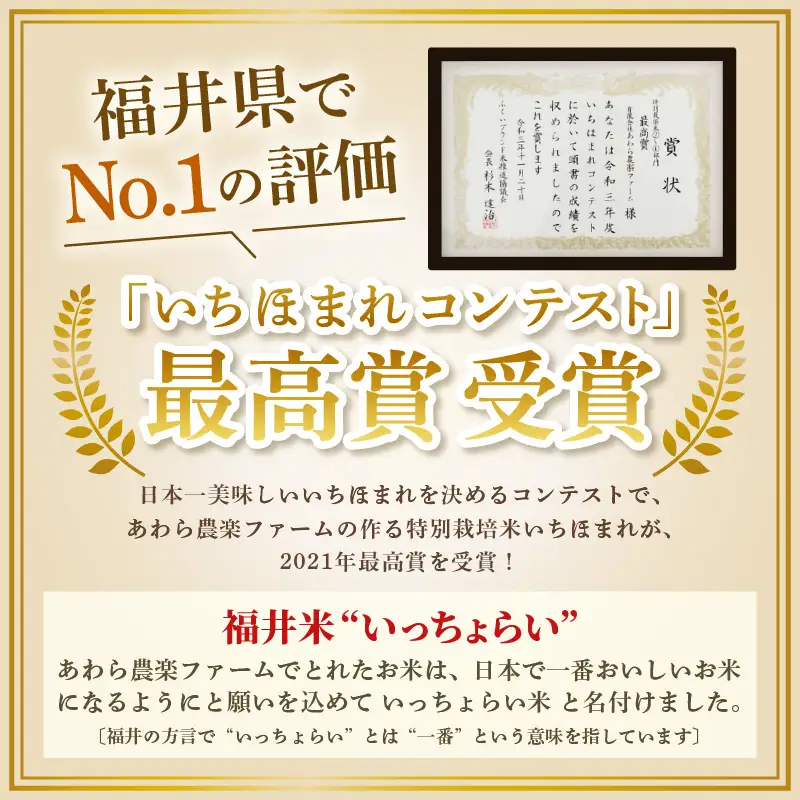 【先行予約】【令和8年産・新米】【一等米】 ＜定期便12回＞ ハナエチゼン 精米 5kg × 12回（60kg）《発送直前精米！》 ／ 福井県産 ブランド米 ご飯 白米 お米 コメ 新鮮 大賞 受賞 新米 ※2026年9月上旬以降順次発送予定 [aw012-k010]
