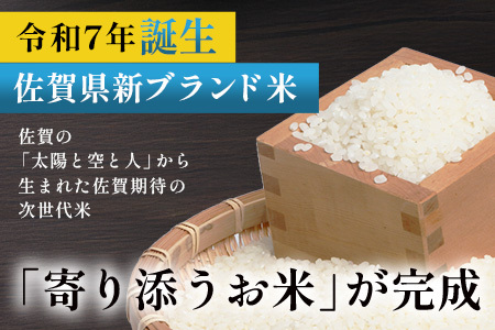 ひなたまる10kg(5kg×2)白米｜特別栽培米【ひなたまる 令和7年誕生 新ブランド米】【生産者直送】幸せと笑顔を届ける元氣のお米｜佐賀県特別栽培農産物｜化学農薬・化学肥料不使用｜新米 精米 有機肥料 佐賀県 鹿島市 E-176