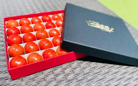 音楽を聴いて育ったプチぷよ🍅一粒万倍 黒／赤BOX【30粒or42粒】【2026年7月上旬-11月上旬発送予定】