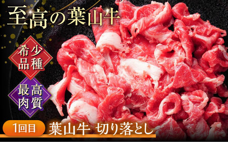 【全3回定期便】横須賀 高評価 定期便[AKZZ030]