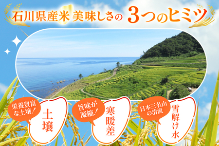 米 無洗米 定期便 石川米 こしひかり 5kg 3回 [38601336]