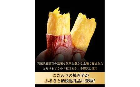鹿島焼芋 純1.5kg＆焼き干しいも　1.5kg(300g×5袋）セット【冷蔵 ひやし 焼き芋 やきいも 干しいも さつまいも 芋 お菓子 おやつ デザート スイーツ 和菓子 和スイーツ 鹿嶋市 茨城県】（KBK-55-e）