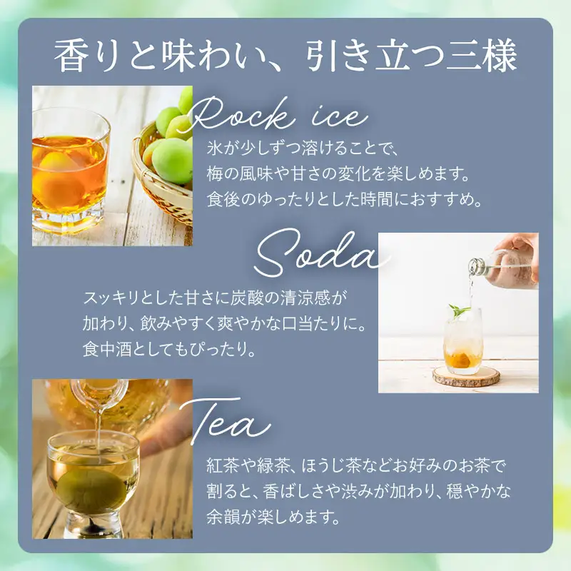 奥羽自慢　梅酒　720ml　奥羽自慢株式会社