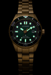 【CITIZEN時計】CITIZEN プロマスター BN0262-59W