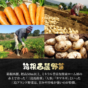 厳選素材プレミアムカレー 4食 セット カレー レトルト レトルトカレー ご当地カレー 野菜 じゃがいも 馬鈴薯 人参 タマネギ 玉ねぎ 肉 牛肉 国産牛 惣菜 レトルト食品 防災 災害 災害用品 防災グッズ 備蓄 長期保存 箱根西麓 静岡県 三島市