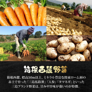 厳選素材プレミアムカレー 8食 セット カレー レトルト レトルトカレー ご当地カレー 野菜 じゃがいも 馬鈴薯 人参 タマネギ 玉ねぎ 肉 牛肉 国産牛 惣菜 レトルト食品 防災 災害 災害用品 防災グッズ 備蓄 長期保存 箱根西麓 静岡県 三島市