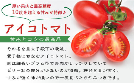 完熟アイコトマト 約3kg / トマト  [SCB052] 