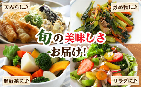 【12回定期便】野菜定期便15品目以上 [SCZ019] 