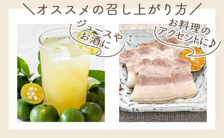さわやかな香り漂うシークワーサー 2kg シークヮーサー yr-0107