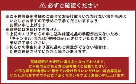 梨 2026年 先行予約 あたご梨 2玉 合計1.8kg以上 環山堂 岡山県産 なし 果物 フルーツ 【2026年11月下旬～12月下旬 発送予定】 ナシ くだもの ギフト お取り寄せ 国産