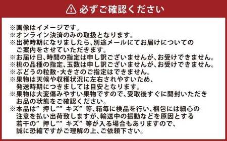 【4回定期便】 フルーツ 2026年 先行予約 4回お届け便！ 環山堂セレクト 晴れの国 おかやま より 果物 を旬な時期に4回に分けてお届け！ 【2026年7月上旬～12月下旬 発送予定】 岡山県産 桃 もも 葡萄 ぶどう 梨 なし 果物 お取り寄せ 贈り物 ギフト 国産