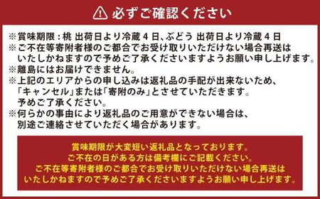 桃 ぶどう 2026年 先行予約 岡山 白桃 5玉と シャイン マスカット 2房 詰合せ 合計2.7kg以上  【2026年7月上旬～8月上旬 発送予定】 もも 葡萄 岡山県産 国産 フルーツ 果物 環山堂 くだもの お取り寄せ 贈り物 ギフト 国産