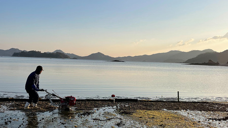 【4月末まで】 アサリ 1kg あさり 500g×2袋 砂出し済み