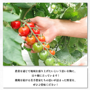 甘い ミニトマト 2kg 国産 送料無料 【 ミニトマト 】