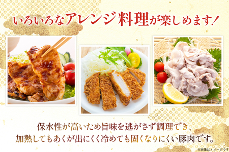 豚肉 宮崎県産豚肉 3.2kg 詰め合わせ セット [TRINITY 宮崎県 日向市 452061328]