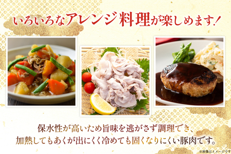 豚肉 宮崎県産豚肉 3.8kg 詰め合わせ セット [TRINITY 宮崎県 日向市 452061327]