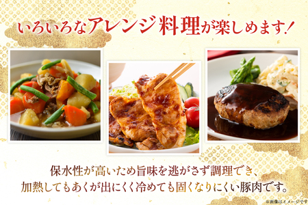 豚肉 宮崎県産豚肉 4.2kg 詰め合わせ セット [TRINITY 宮崎県 日向市 452061326]