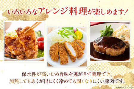 豚肉 宮崎県産豚肉 5kg 詰め合わせ セット [TRINITY 宮崎県 日向市 452061325]