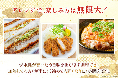 豚肉 宮崎県産豚肉 ロースカツ用 1kg ヒレカツ用 300g 詰め合わせ セット [TRINITY 宮崎県 日向市 452061324]