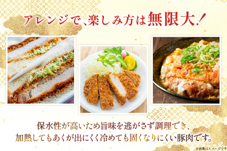 豚肉 ロース 宮崎県産 豚肉ロースカツ用 30枚 セット [TRINITY 宮崎県 日向市 452061323]