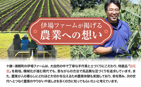 北海道産 とかち華まめ くり豆 800g 伊場ファーム 高級 煮豆 甘納豆 十勝