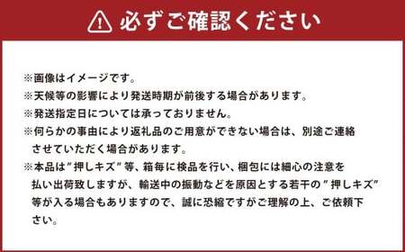 岡山県産白桃 5～7玉 約1.3kg【2026年7月上旬～7月下旬発送予定】
