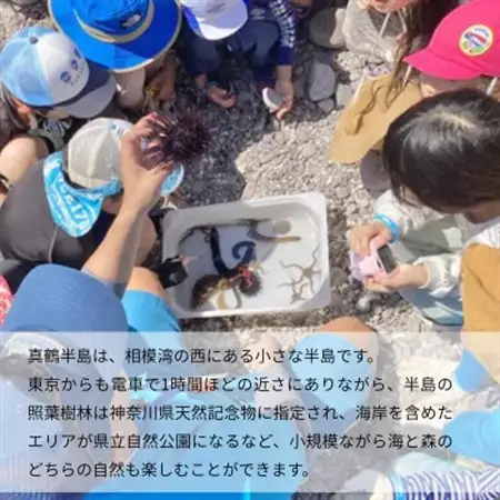 「海のミュージアム 磯の生物観察会・海の自然実感教室」参加費3000円分クーポン【1697095】