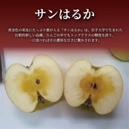 【青森直送 季節の味覚をお届け!】サンはるか 3個入×2箱(贈答用)青森産 産地直送 限定生産【配送不可地域：離島】【1700928】