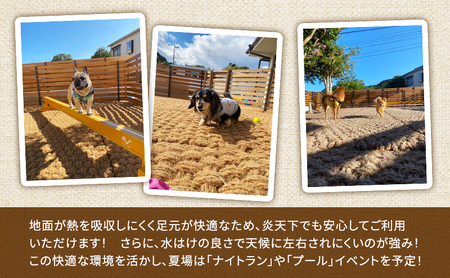 MARUMARUDOGS ドックラン 3時間利用券 1時間×3枚セット 人1人＋犬1頭 チケット 犬 ペット 体験 施設 施設利用券 ラン コイヤーグラウンド 天然素材 静岡県 河津町