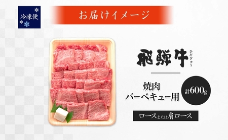 飛騨牛 ロース 肩ロース 焼肉 BBQ用 計600g 霜降り サシ 和牛 黒毛和牛 国産 国産牛 肉 牛肉 赤身 高級肉 グルメ バーベキュー お取り寄せ 送料無料 冷凍 養老ミート 岐阜県 揖斐川町