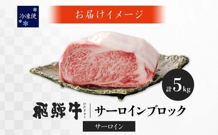 飛騨牛 サーロイン ブロック 5kg 塊肉 和牛 黒毛和牛 牛肉 肉 ステーキ ローストビーフ 厚切りステーキ 焼肉 大容量 国産 国産牛 グルメ ギフト お取り寄せ 贈り物 送料無料 冷凍 養老ミート 岐阜県 揖斐川町