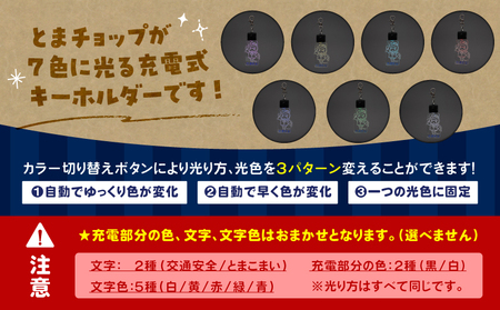 交通安全 キーホルダー T042-031 雑貨 日用品