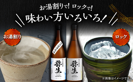 産地別黒糖焼酎 選べる 弥生飲み比べ セット 1800ml 2本入り（ 弥生波照間無濾過 25度 ＆ 弥生与那国島 25度 ） A185-034-01 黒糖焼酎 焼酎 酒 お酒 アルコール 黒糖 本格焼酎 弥生 飲み比べ 波照間無濾過 与那国島 ロック 水割り お湯割り 美味しい 川崎商店 ふるさと納税 鹿児島 奄美市 おすすめ ランキング プレゼント ギフト