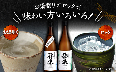 産地別黒糖焼酎 選べる 弥生飲み比べ セット 1800ml 2本入り（ 弥生波照間無濾過 25度 ＆ 弥生西表島 25度 ）A185-034-03 黒糖焼酎 焼酎 酒 お酒 アルコール 黒糖 本格焼酎 弥生 飲み比べ 波照間無濾過 西表島 ロック 水割り お湯割り 美味しい 川崎商店 ふるさと納税 鹿児島 奄美市 おすすめ ランキング プレゼント ギフト