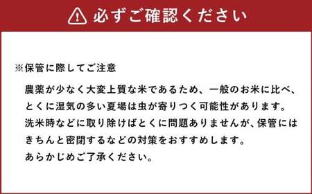令和7年産 熊本県あさぎり町産のお米 ヒノヒカリ 5kg (5kg×1袋)  お米 米 白米 精米 常温 国産 九州 熊本県 あさぎり町