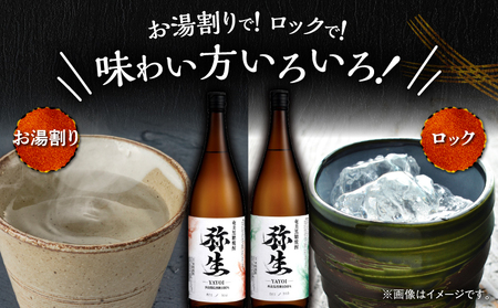 産地別黒糖焼酎 選べる 弥生飲み比べ セット 1800ml 2本入り（ 弥生多良間島 25度 ＆ 弥生西表島 25度 ）A185-034-06 黒糖焼酎 焼酎 酒 お酒 アルコール 黒糖 本格焼酎 弥生 飲み比べ 多良間島 西表島 ロック 水割り お湯割り 美味しい 川崎商店 ふるさと納税 鹿児島 奄美市 おすすめ ランキング プレゼント ギフト