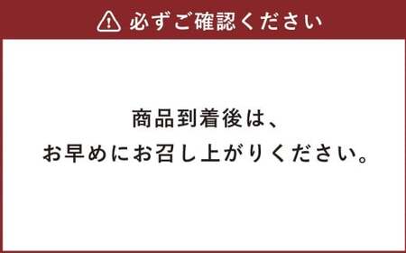 自社農園栽培 生ビーツ5kg  ビーツ やさい 野菜 健康 美容 冷蔵 国産 九州 熊本県 あさぎり町