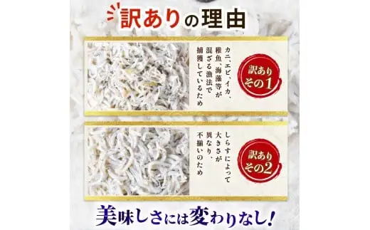訳ありしらす600g 釜揚げ【しらす】