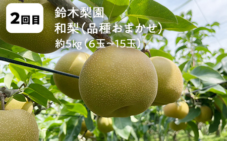 【2026年から発送開始】鏡石町 まきばのフルーツ定期便（桃 約5kg・和梨 約5kg・りんご 約10kg・いちご 約1kg）モモ もも ナシ なし リンゴ イチゴ 苺 福島県 鏡石町 F6Q-416