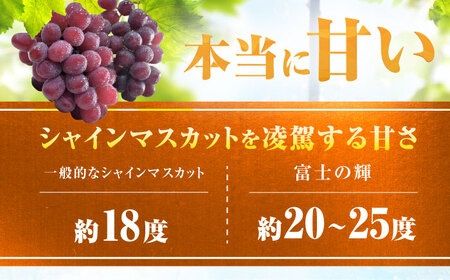【先行予約 8月下旬発送】富士の輝 1房（約700g） ぶどう / ブドウ 葡萄 シャインマスカット[AFCK001]