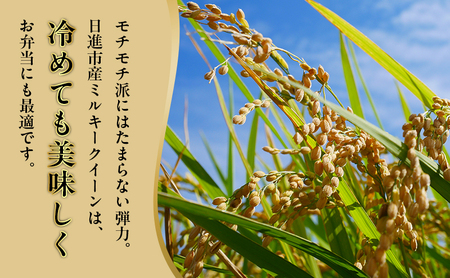 先行予約 令和8年度産 ミルキークイーン さかたのお米 日進市産 1kg お米 白米 ライス 精米 ご飯 おにぎり お弁当 和食 もっちり 粘り 強い 甘み 旨み