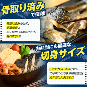 骨取り 塩あじ 切身 (計1kg・1回) 大容量 アジ 鯵 骨ぬき 骨抜き 骨なし 海産物 海鮮 おかず 惣菜 焼き魚 お弁当 切り身 ジップロック チャック付き袋 小分け 簡単調理 【グローバルフーズ】akn061-48