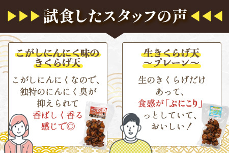 熊本グッドプロダクト賞 ! 生きくらげ入り てんぷら～焦がしニンニク入＆プレーン 4パック セット(各2P) 真空パック さつまあげ さつま揚げ つけあげ きくらげ キクラゲ 木耳 魚介 熊本県 多良木町 あらたけ蒲鉾店 102-0502